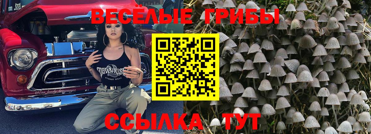 Псилоцибиновые грибы Magic Shrooms Конаково