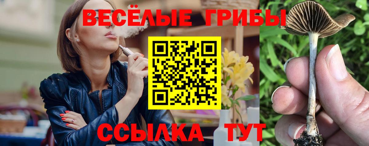 Галлюциногенные грибы Magic Shrooms  наркотики  Конаково  Вход с VPN 